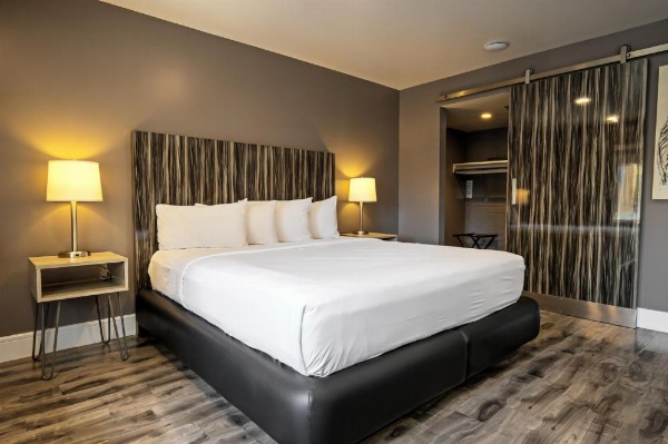 Oasis at Gold Spike - Adults Only image 27